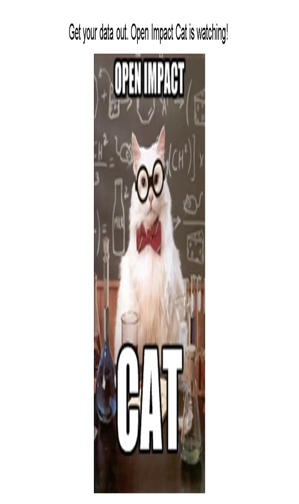 get your data out open impact cat is watching