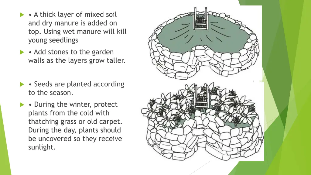 a thick layer of mixed soil and dry manure
