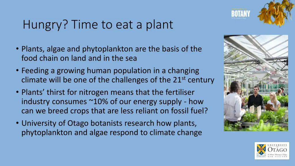hungry time to eat a plant