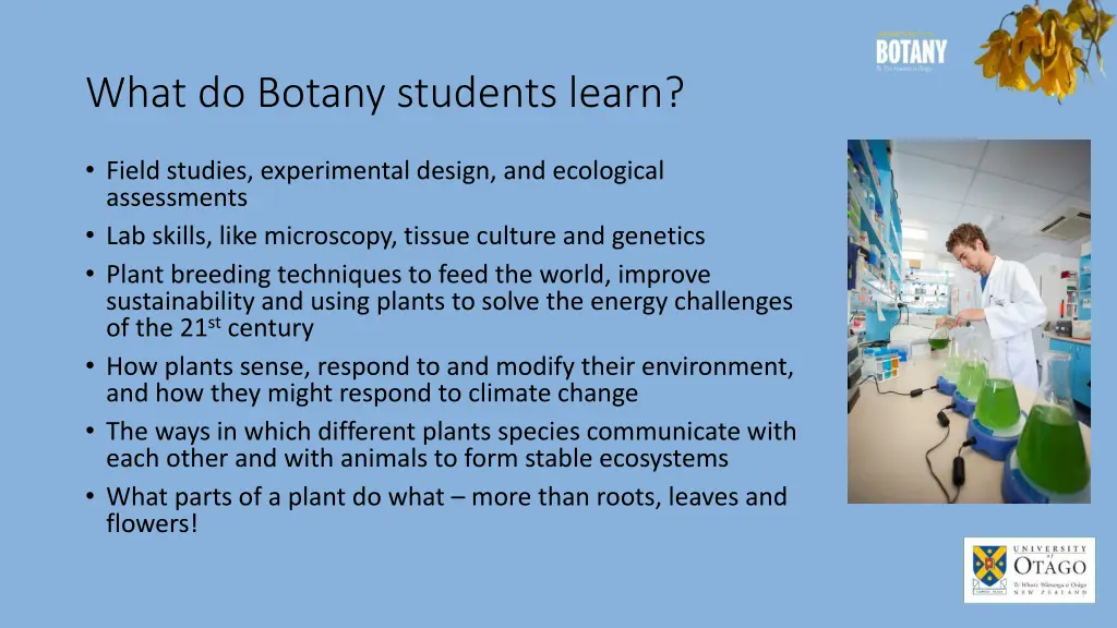 what do botany students learn