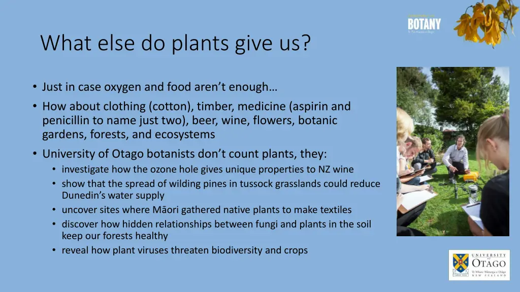 what else do plants give us