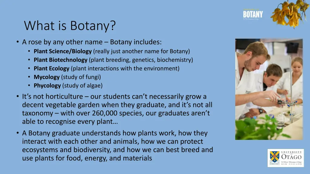what is botany a rose by any other name botany