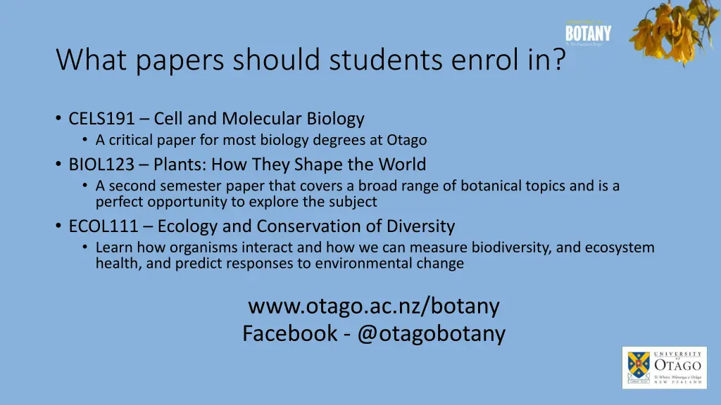 what papers should students enrol in