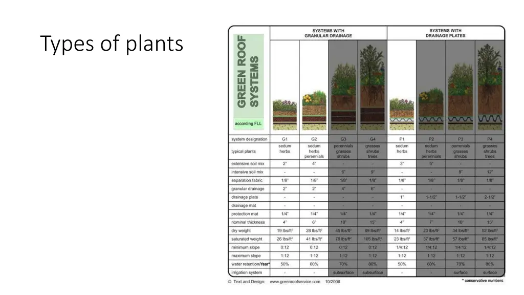 types of plants 1