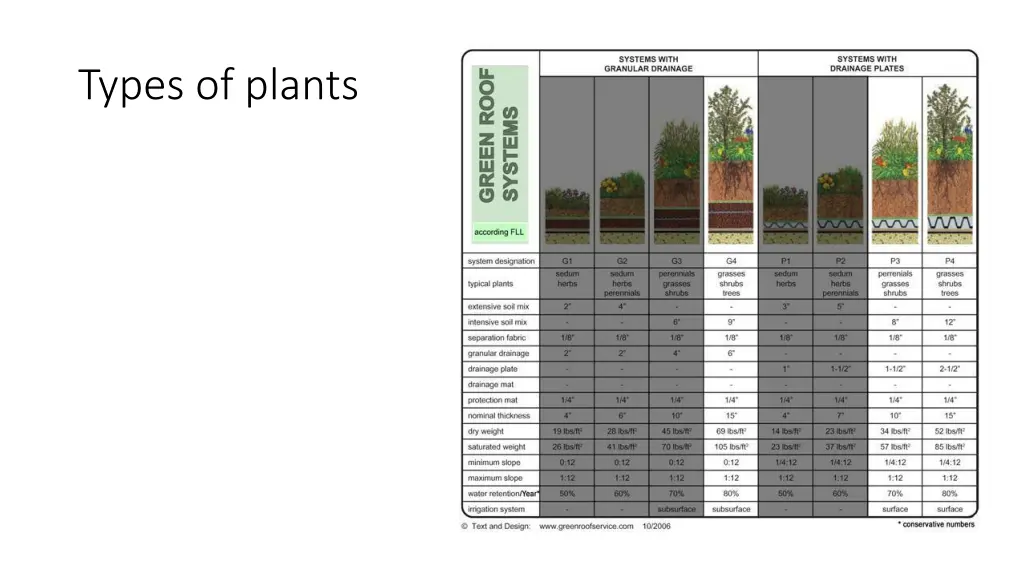 types of plants 2
