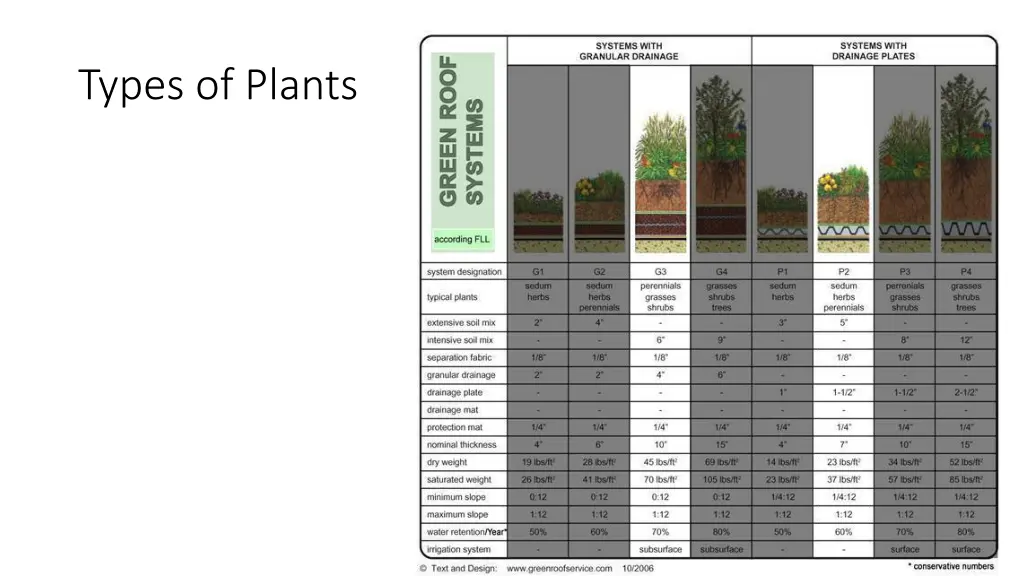 types of plants