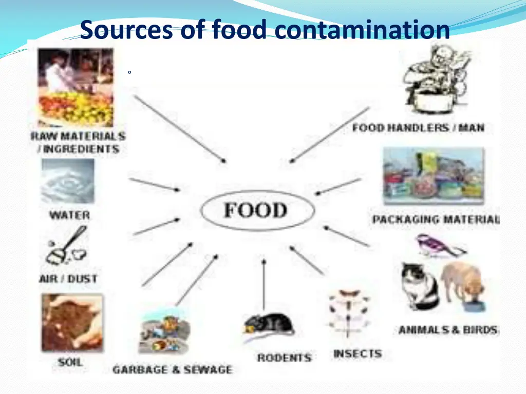 sources of food contamination