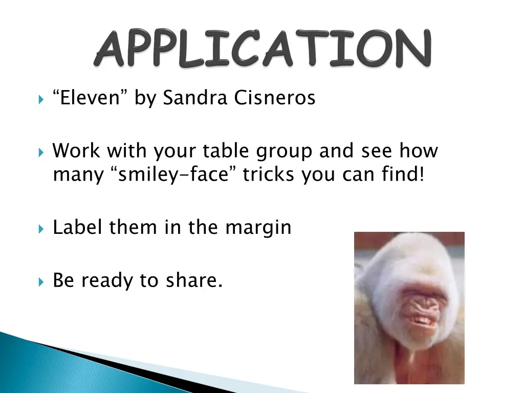 eleven by sandra cisneros