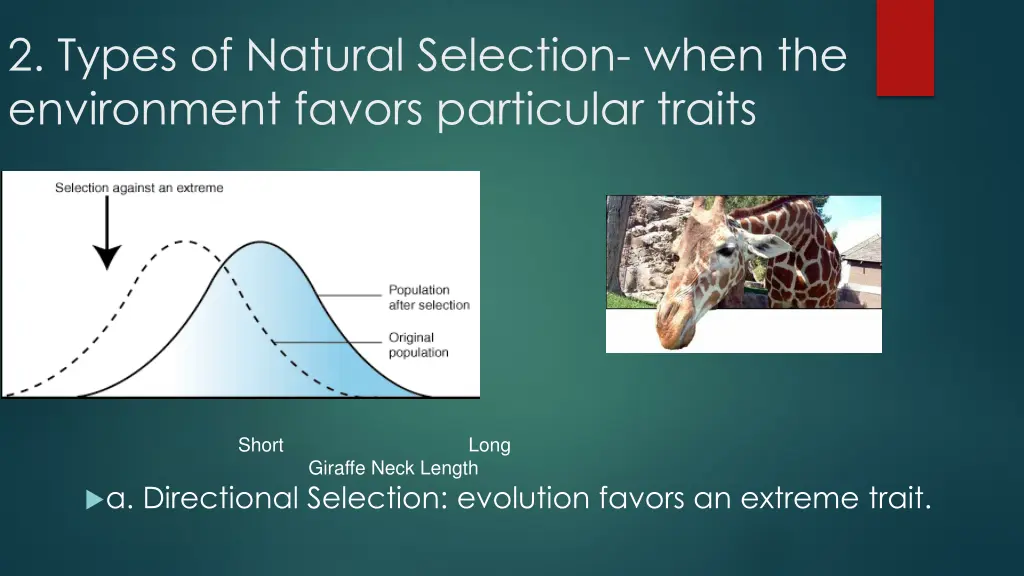 2 types of natural selection when the environment