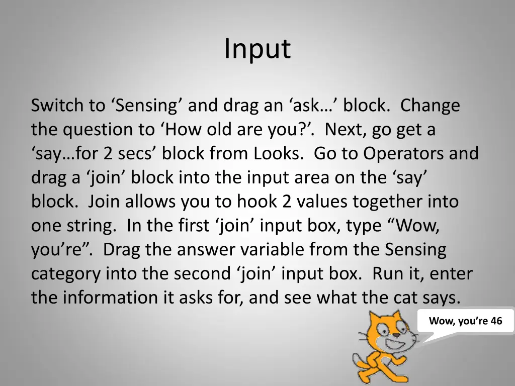 input 2