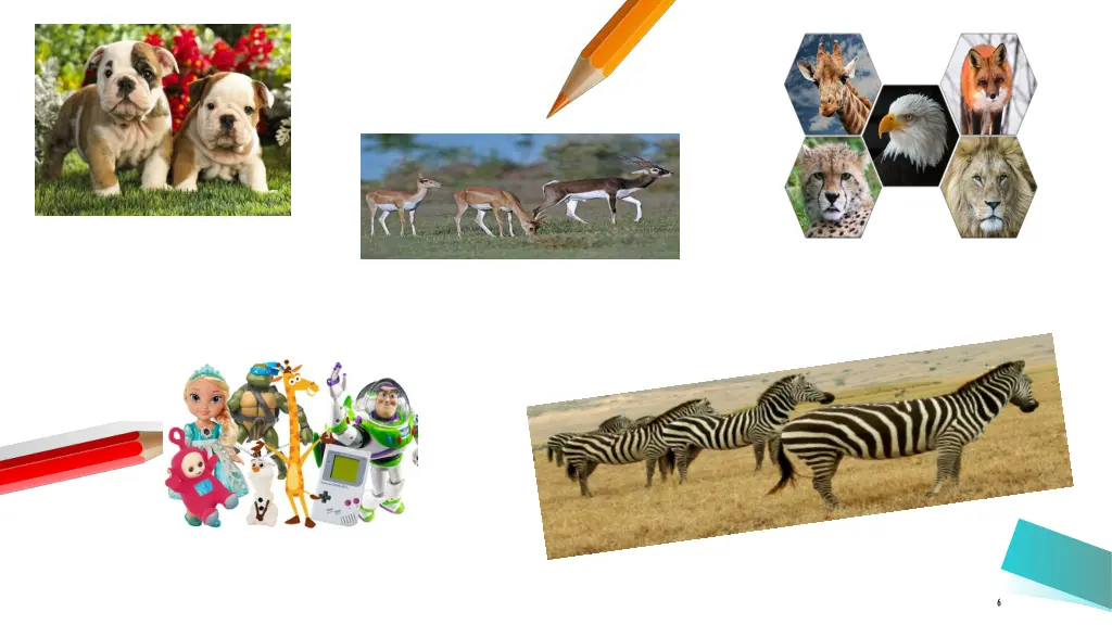 slide6