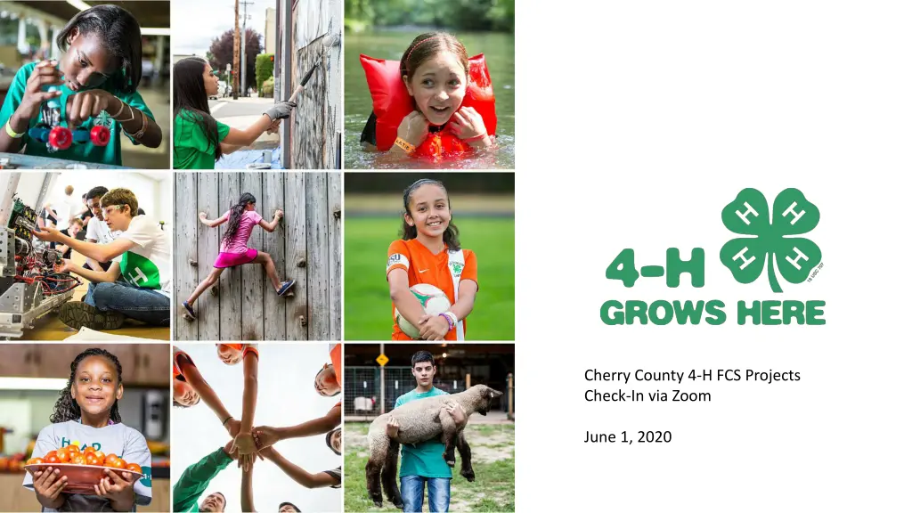 cherry county 4 h fcs projects check in via zoom