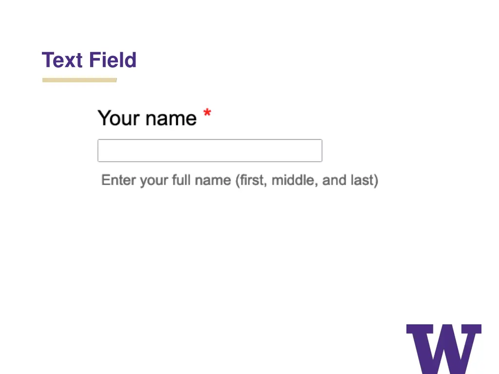text field