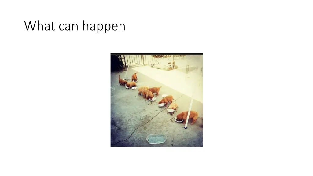 what can happen