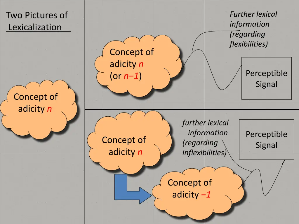 further lexical information regarding