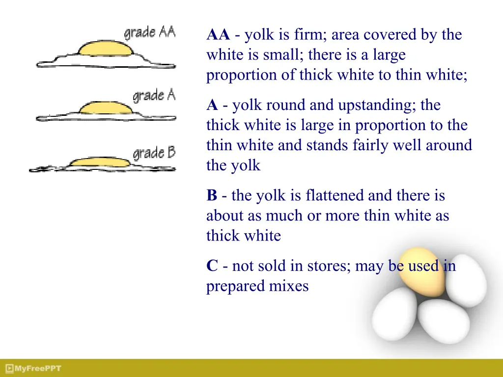 aa yolk is firm area covered by the white