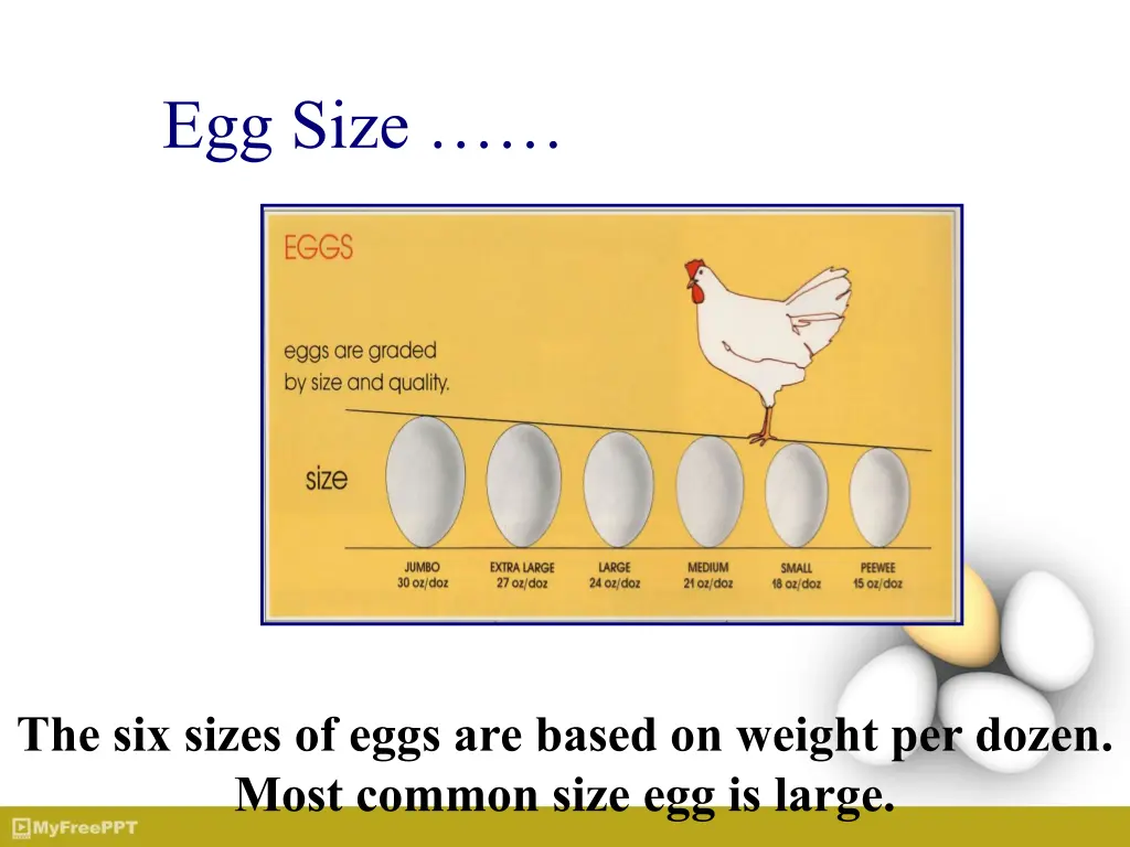 egg size