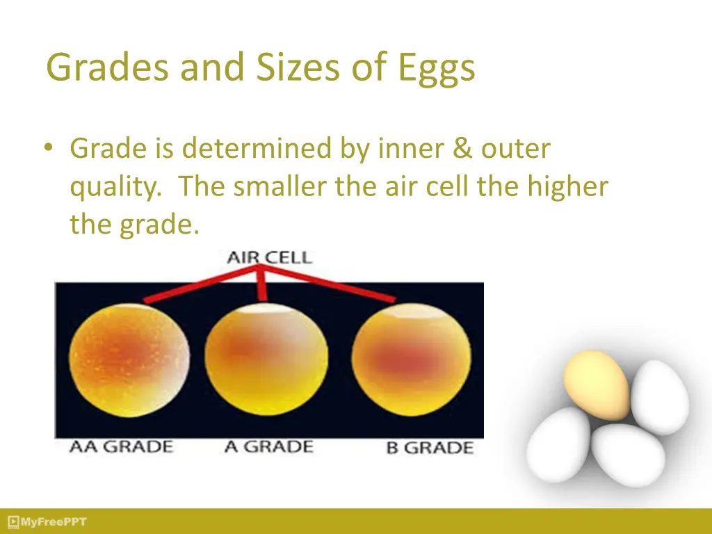 grades and sizes of eggs