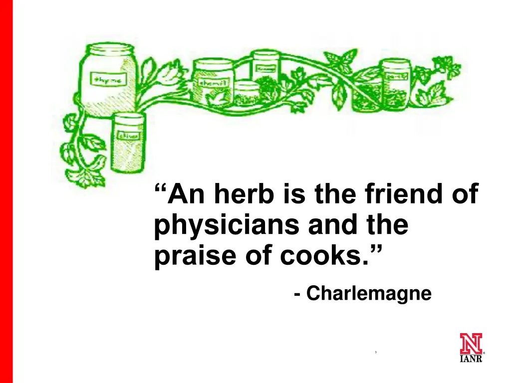 an herb is the friend of physicians