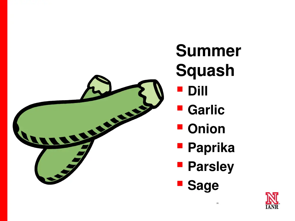 summer squash dill garlic onion paprika parsley