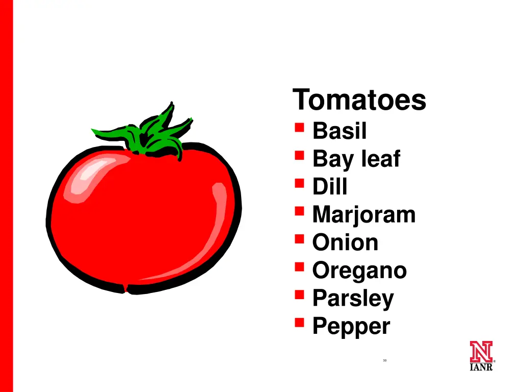 tomatoes basil bay leaf dill marjoram onion