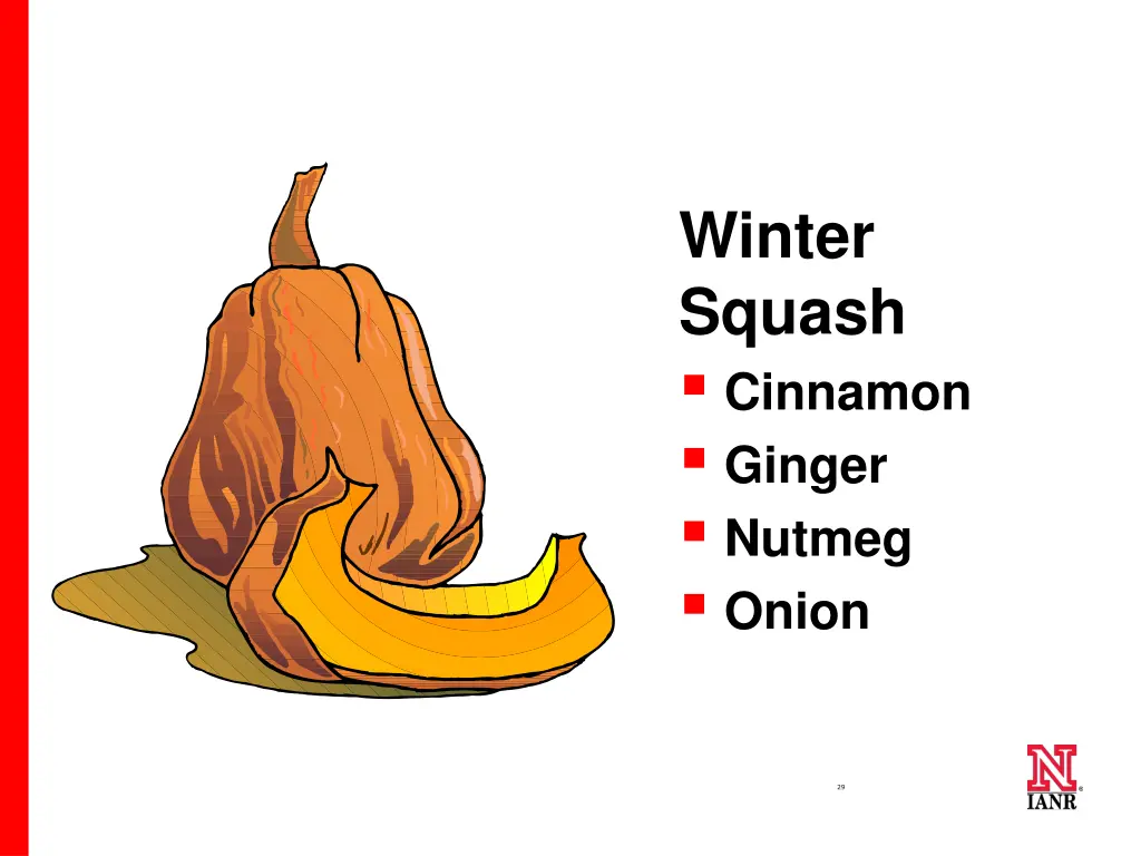 winter squash cinnamon ginger nutmeg onion
