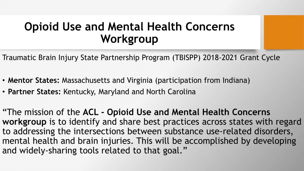 opioid use and mental health concerns workgroup