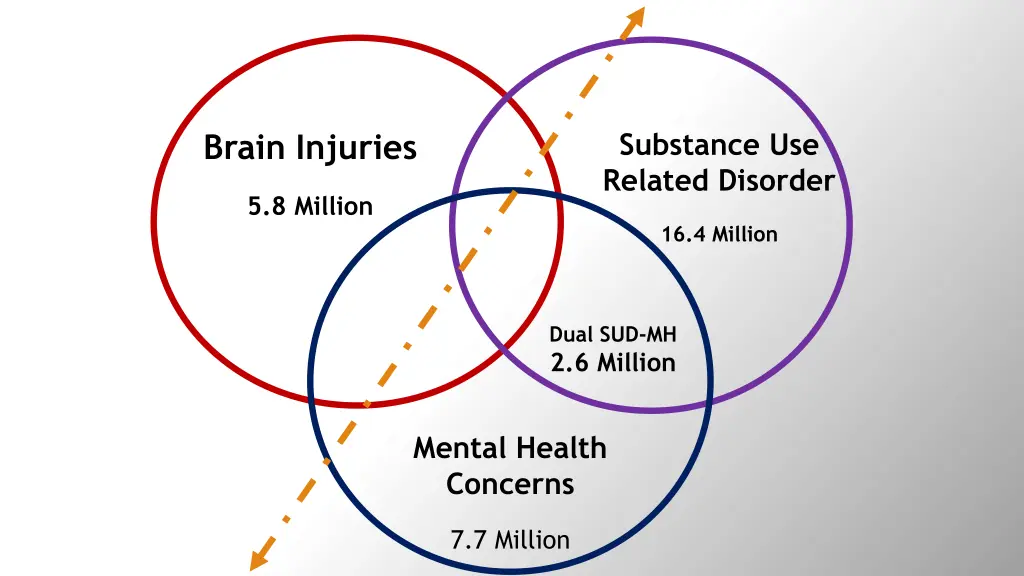 substance use related disorder