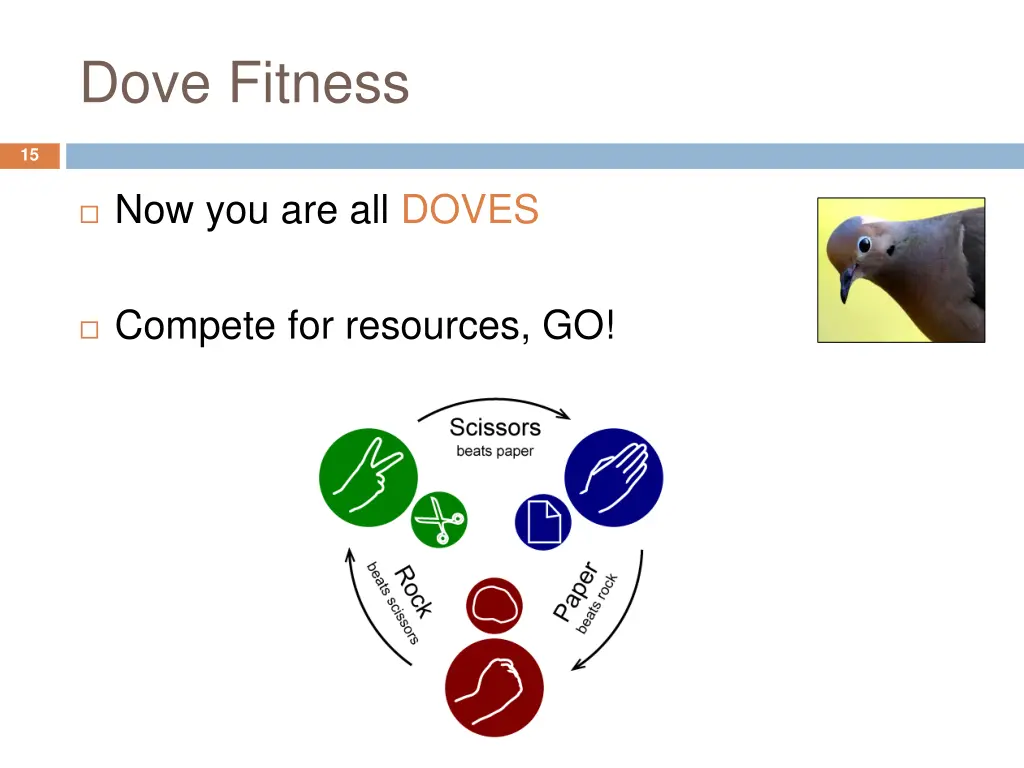 dove fitness