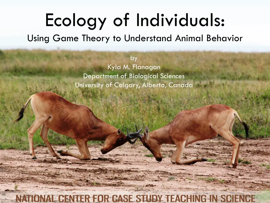 ecology of individuals using game theory