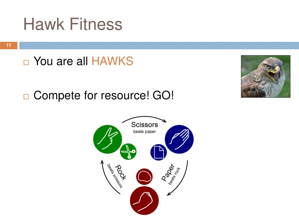 hawk fitness