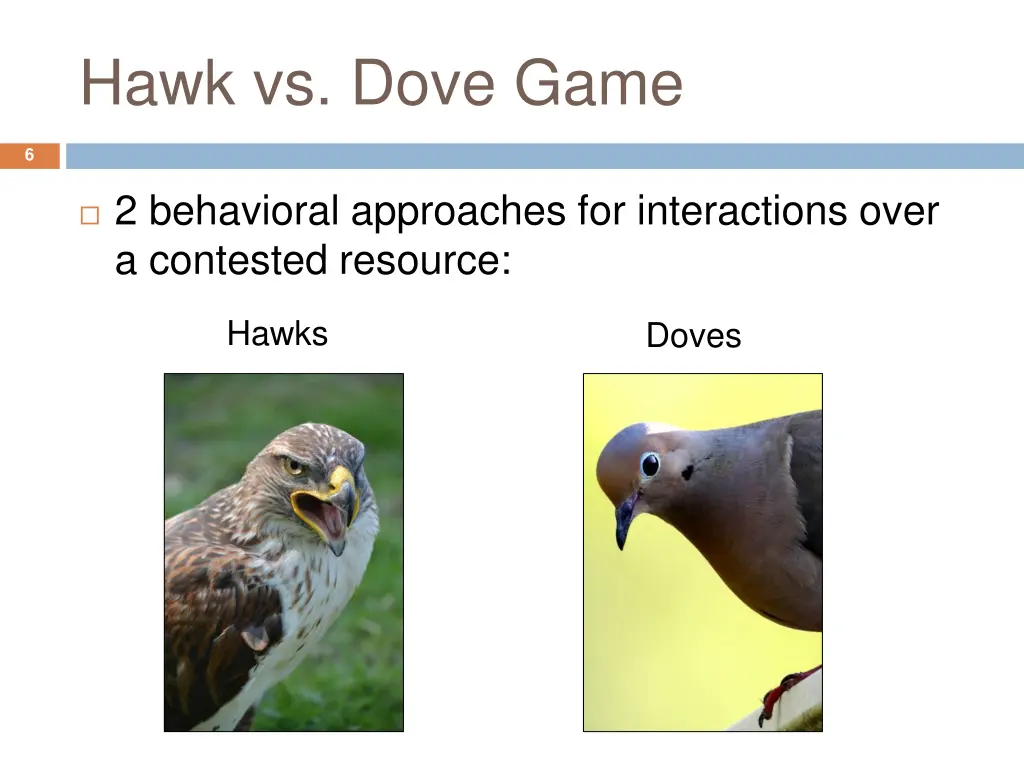 hawk vs dove game