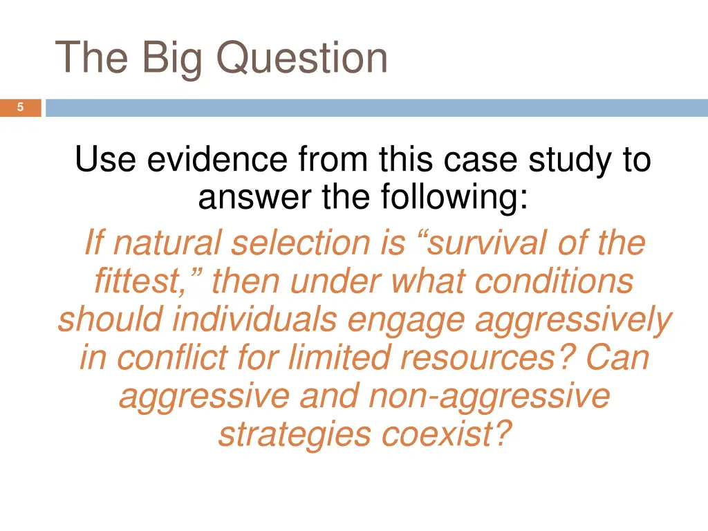 the big question