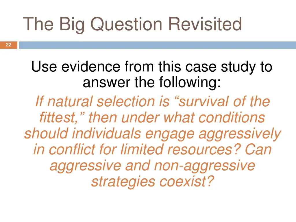 the big question revisited