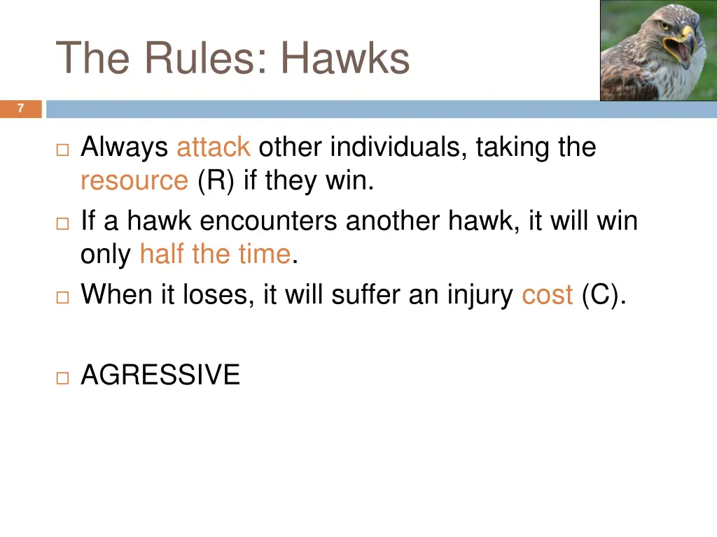 the rules hawks
