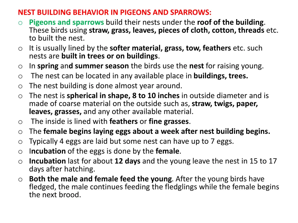 nest building behavior in pigeons and sparrows