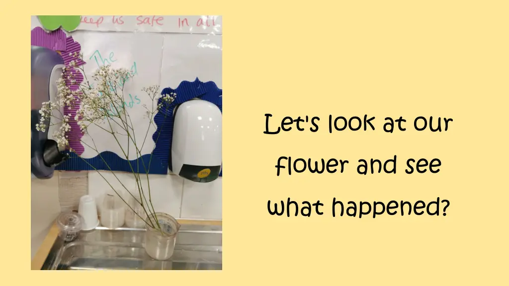 let s look at our flower and see what happened