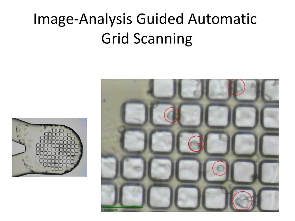 image analysis guided automatic grid scanning