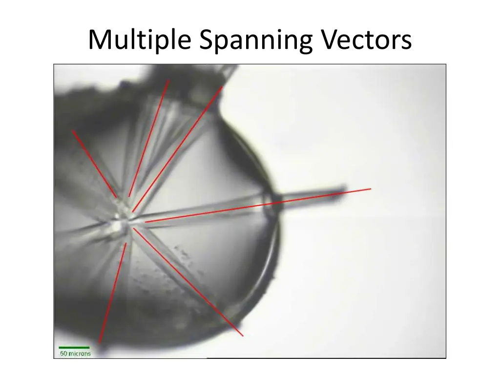 multiple spanning vectors