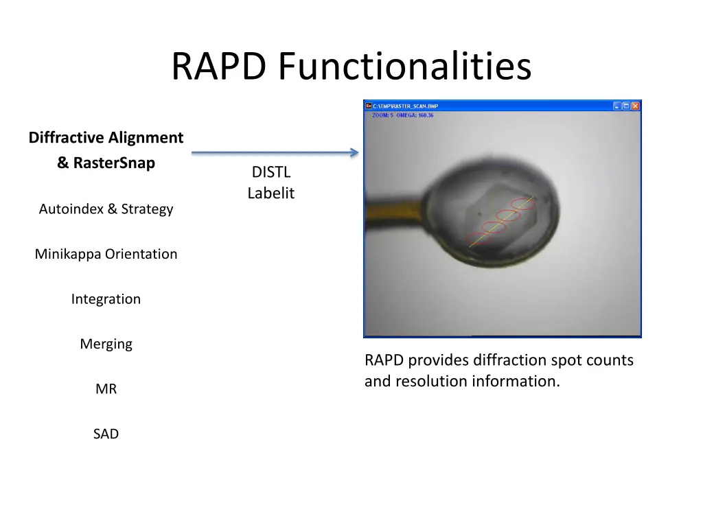 rapd functionalities 1