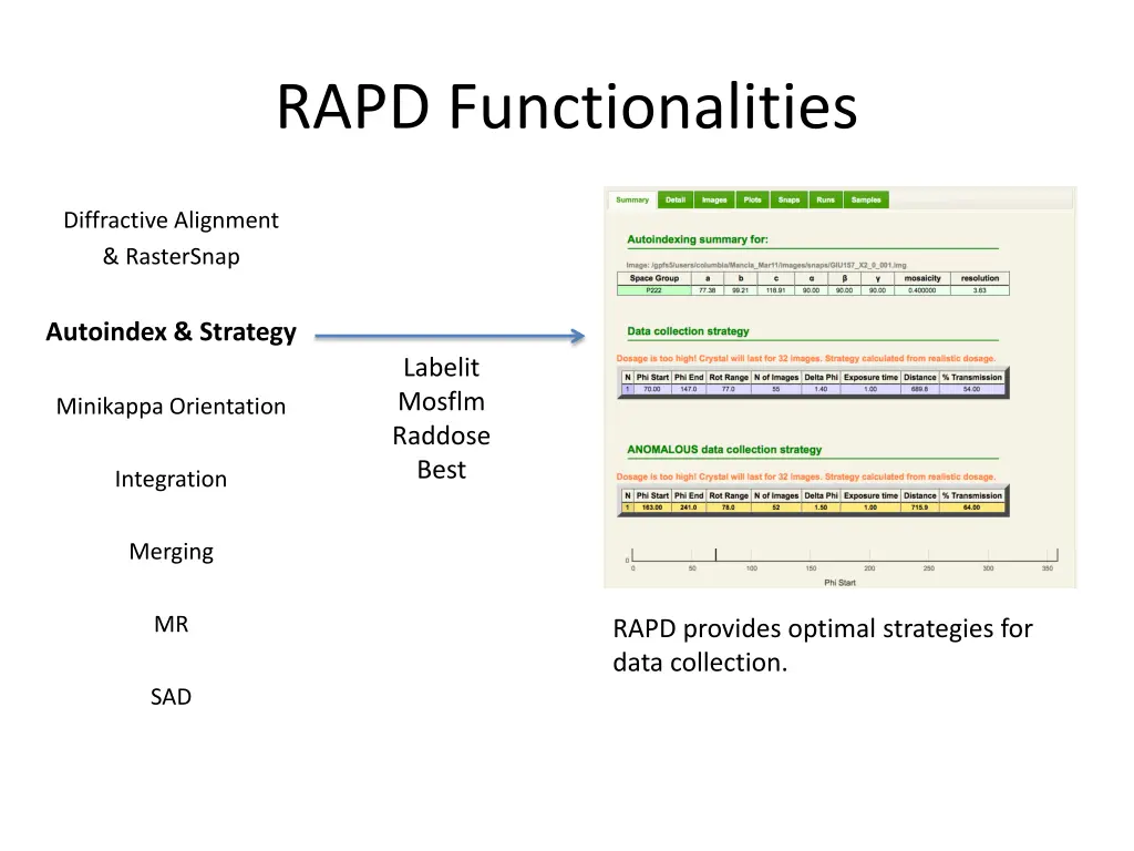 rapd functionalities 3