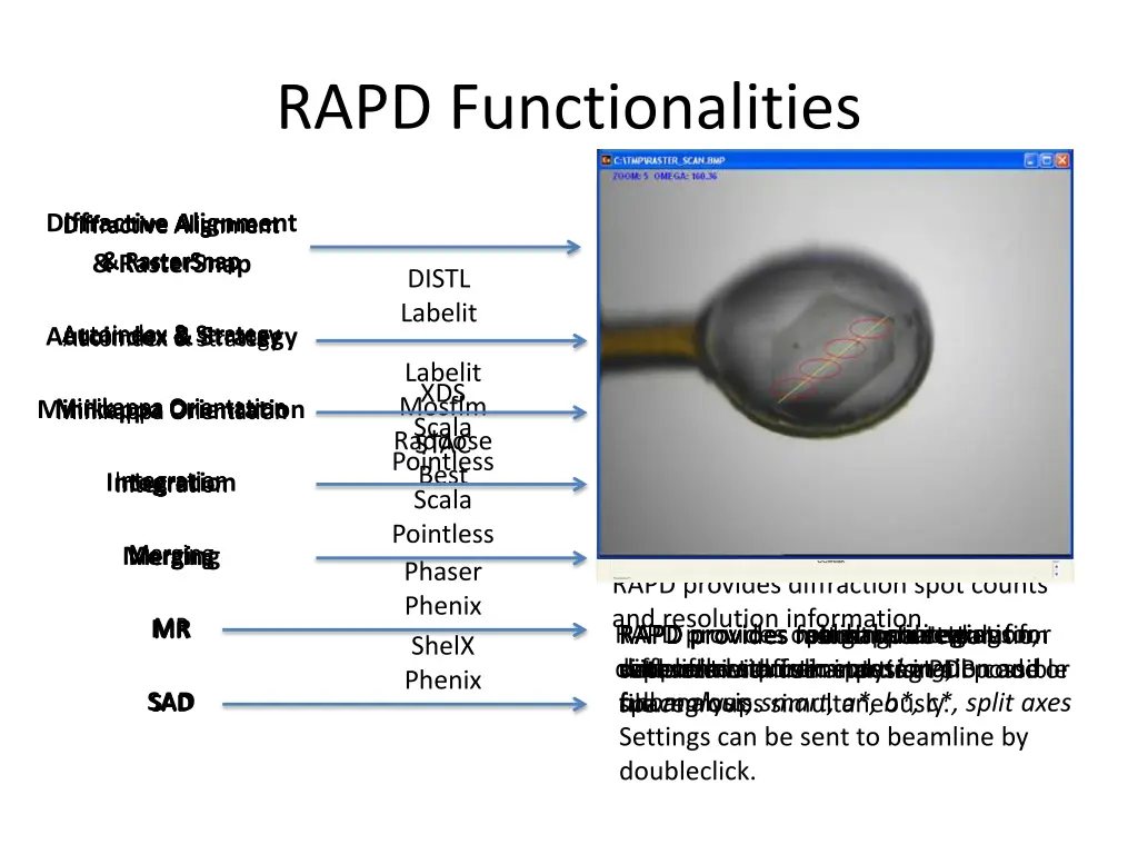 rapd functionalities