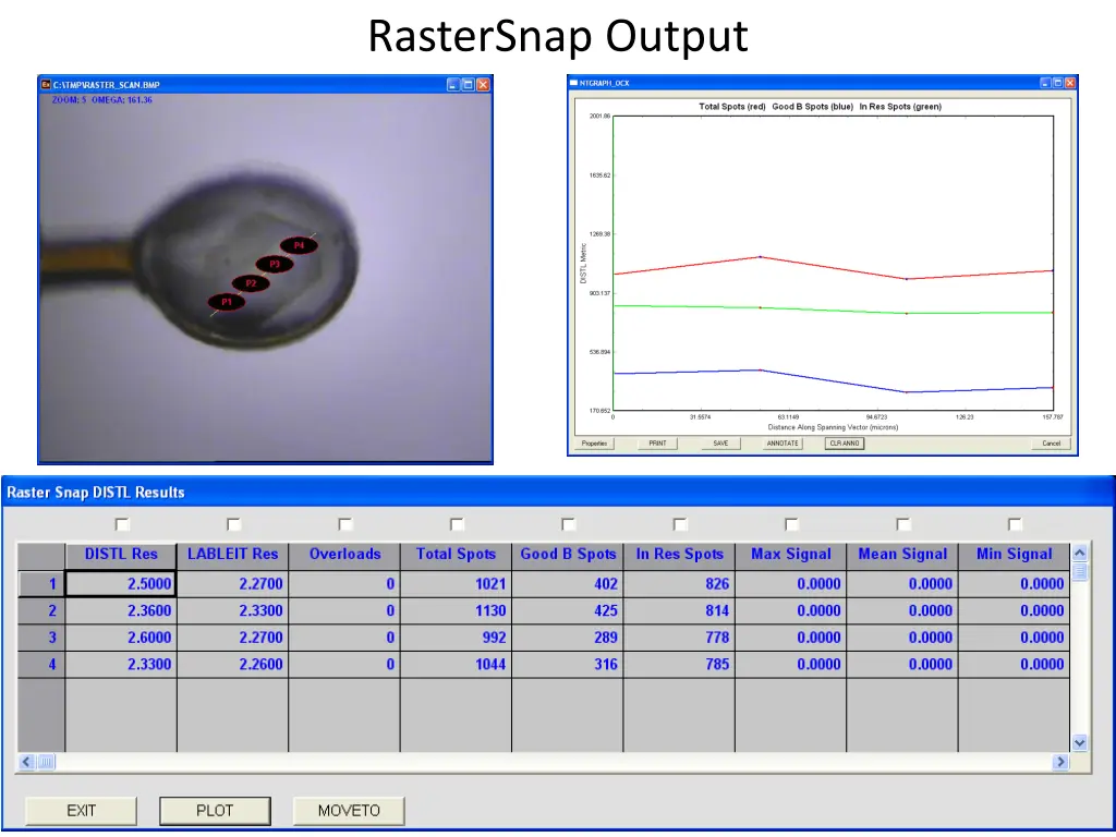 rastersnap output