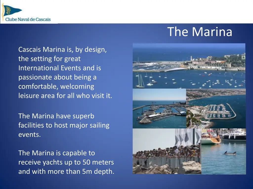 the marina