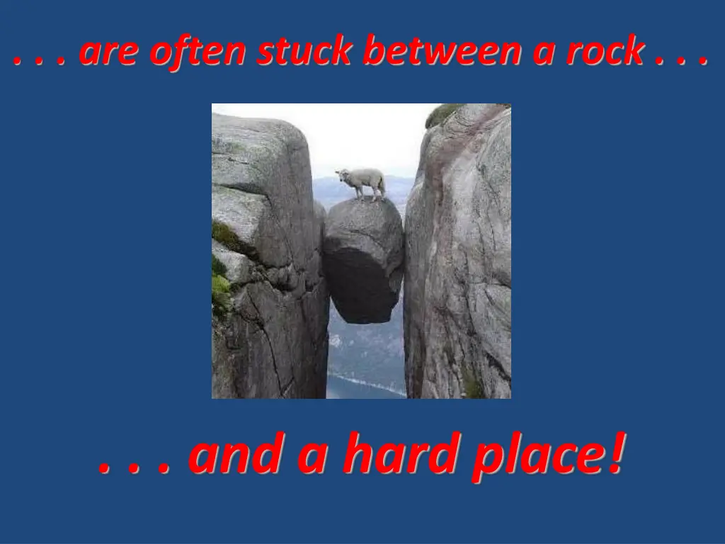 are often stuck between a rock