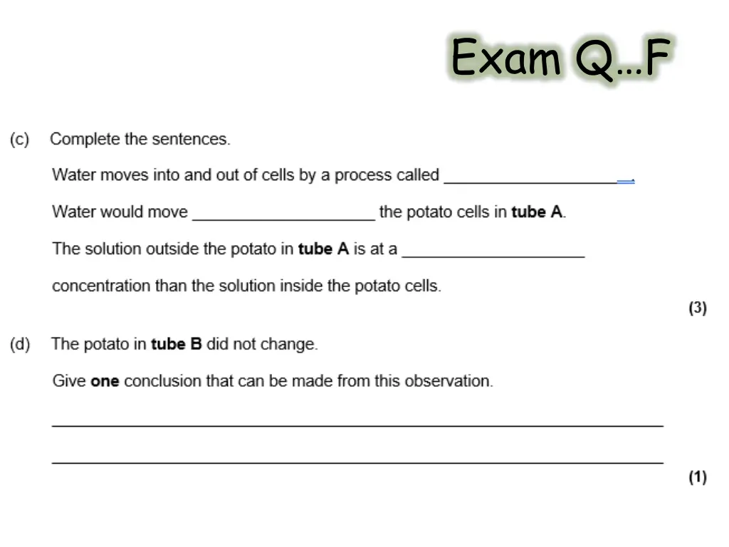 exam q f 1