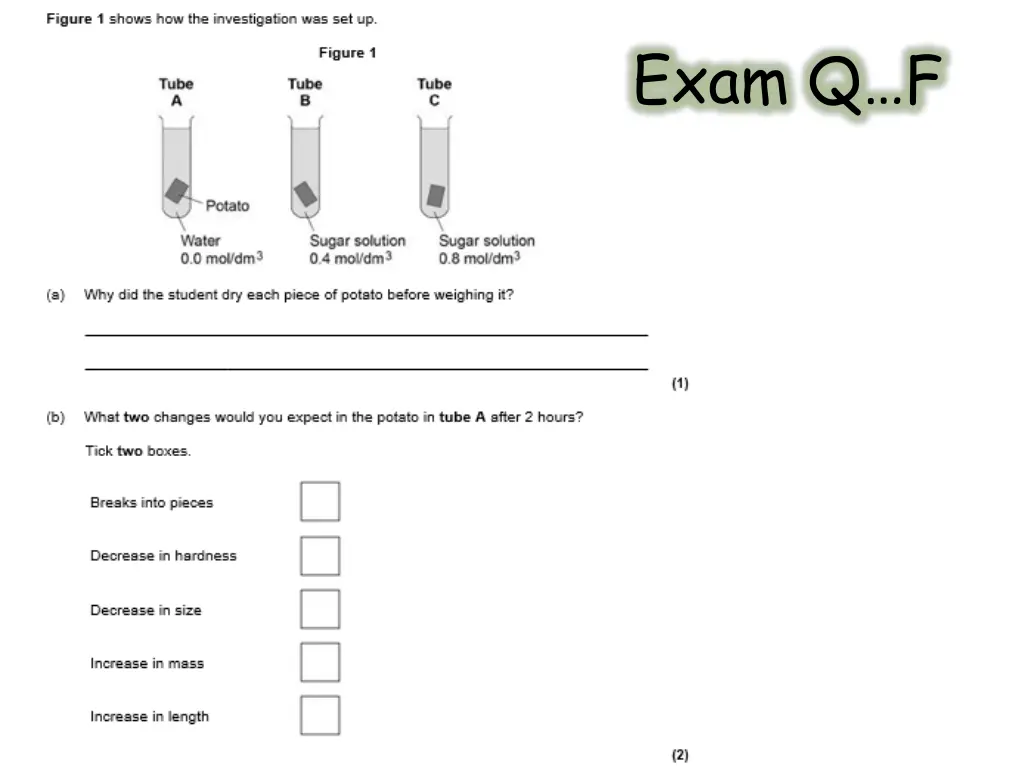 exam q f