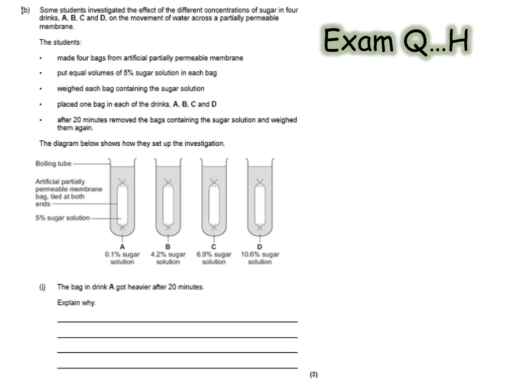 exam q h