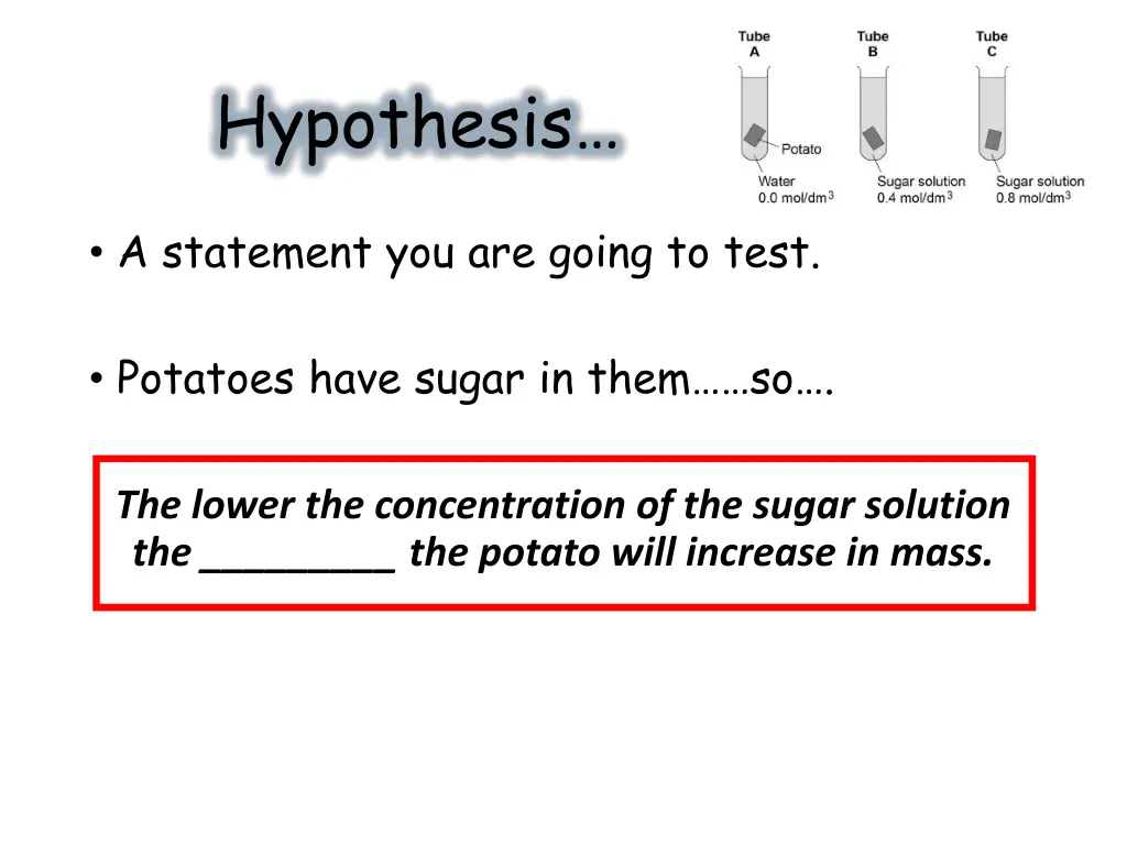 hypothesis