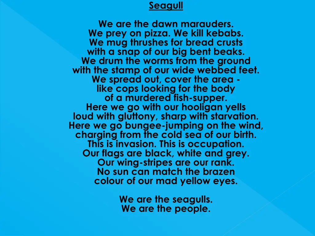 seagull 1